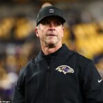 Bývalý hlavný tréner Ravens John Harbaugh absolvoval pohovor na voľné miesto Falcons