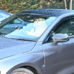 Hviezdy Chelsea, vrátane Alejandra Garnacha, sa po odchode šéfa Enza Marescu hlásili v piatok na tréning