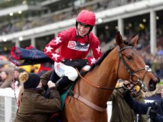 Kôň Sira Alexa Fergusona umiera ako Kalif Du Berlais pri tragickom páde v Kemptone Kôň Sira Alexa Fergusona umiera ako Kalif Du Berlais pri tragickom páde v Kemptone