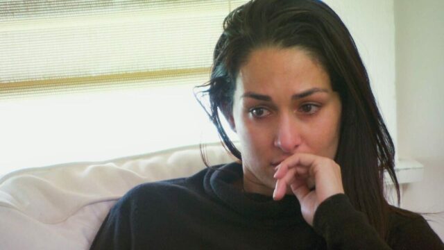 Nikki Bella is a former Divas Champion! [Image credit: WWE.com]