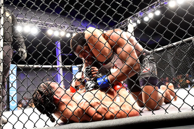 LFA opúšťa UFC Fight Pass, podpisuje zmluvu s VICE TV Download app from appStore