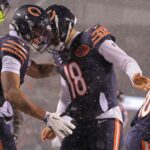 logo pochodového šialenstva