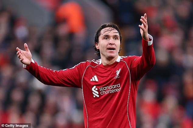 Liverpool je pripravený uzavrieť zmluvu s obrancom Senegalu – keďže Federico Chiesa od svojho vstupu v roku 2024 nastúpil len na dva zápasy Premier League za Liverpool