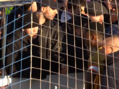 Marc Guehi čelí zúrivým fanúšikom Crystal Palace po ponižujúcej prehre v FA Cupe Marc Guehi