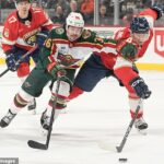 Minnesota Wild a NHL boli odsúdení za to, že hrali zápas - proti tímu vyznamenanému Trumpom - niekoľko hodín po streľbe Alexa Prettiho