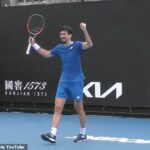 Sebastian Ofner (na obrázku) zrejme oslavoval predčasné víťazstvo počas kvalifikačného zápasu Australian Open proti Nisheshovi Basavareddymu, než utrpel porážku.