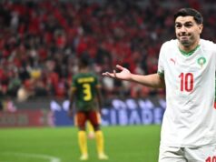 Nigéria, Egypt alebo Senegal: Kto môže pokaziť marocký večierok AFCON 2025? | Futbalové správy Nigéria, Egypt alebo Senegal: Kto môže pokaziť marocký večierok AFCON 2025? | Futbalové správy