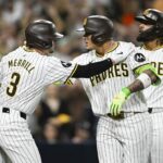 logo pochodového šialenstva