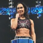 Po AJ Lee sa po kontroverzii AI ozýva ďalšia ženská hviezda WWE
