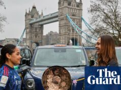 Počiatočný hrnček Female’s Champions: čo to je a mali by sme to vziať na vedomie?|Ženský futbal Počiatočný hrnček Female's Champions: čo to je a mali by sme to vziať na vedomie?|Ženský futbal