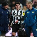 Obrancovi Newcastlu Tinovi Livramentovi hrozí až osem týždňov pre zranenie stehennej šľachy