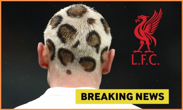 Prestup Liverpoolu Julian Ryerson z Dortmundu
