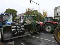 Prikývnutie štátov EÚ na obchodnú dohodu s Mercosurom sa končí 25-ročné čakanie | Správy Prikývnutie štátov EÚ na obchodnú dohodu s Mercosurom sa končí 25-ročné čakanie | Správy