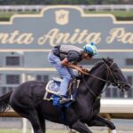 Santa Anita žaluje kalifornské ministerstvo spravodlivosti za zabavenie stávkových automatov