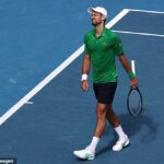 Skvelý únik Novaka Djokoviča: Srbská hviezda sa prebojovala do semifinále Australian Open po tom, čo súper 10-násobného šampióna odstúpil napriek tomu, že viedol o dva sety