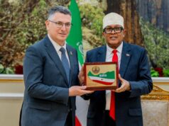 Somálsky minister povedal, že Izrael plánuje vysídliť Palestínčanov do Somalilandu | Správy o konflikte medzi Izraelom a Palestínou Somálsky minister povedal, že Izrael plánuje vysídliť Palestínčanov do Somalilandu | Správy o konflikte medzi Izraelom a Palestínou