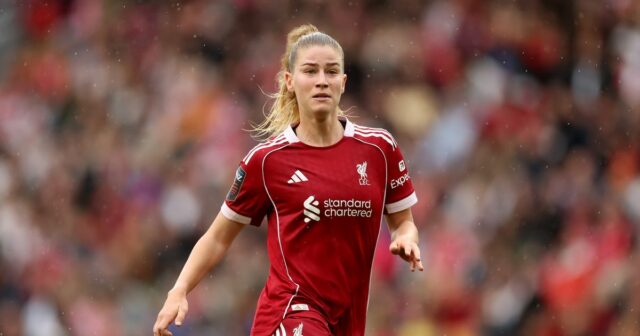 Stalkerovi Marie Hobingerovej bol vydaný súdny zákaz