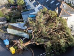 Storm Goretti spôsobuje zmätok, pretože zápasy FA Cupu a League One a Two boli cez víkend odložené Spadnutý strom v Cornwalle ako búrka Goretti spôsobil zmätok v celom Spojenom kráľovstve