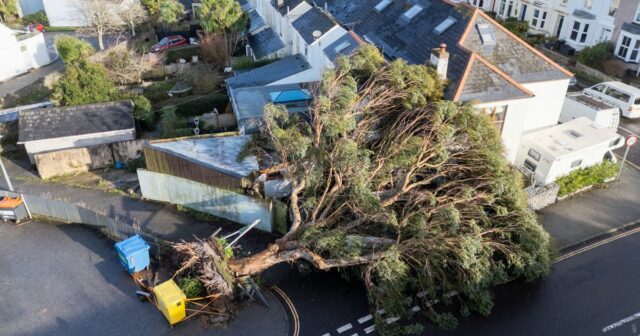 Spadnutý strom v Cornwalle ako búrka Goretti spôsobil zmätok v celom Spojenom kráľovstve