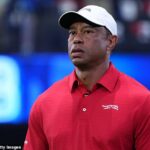 Tiger Woods prezradil, že po operácii chrbta dostal povolenie na swing s krátkymi a strednými železami
