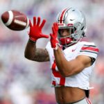 logo pochodového šialenstva