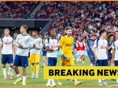 Adi Hutter teraz nie je pripravený na prácu v Tottenhame Tottenham ťahá za Sama Johnstonea