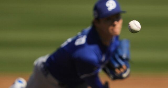 Urobiť zo začínajúcich džbánov opäť skvelé? MLB nie je. USPBL sa o to pokúsi.
