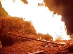 Video: Izraelskí osadníci vykonávajú podpaľačské útoky na okupovanom Západnom brehu Jordánu | Okupovaný Západný breh Video: Izraelskí osadníci vykonávajú podpaľačské útoky na okupovanom Západnom brehu Jordánu | Okupovaný Západný breh