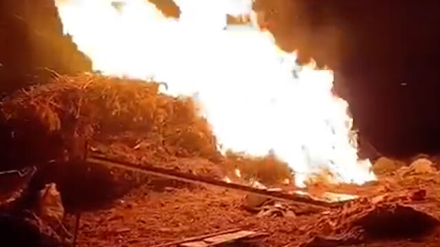 Video: Izraelskí osadníci vykonávajú podpaľačské útoky na okupovanom Západnom brehu Jordánu | Okupovaný Západný breh
