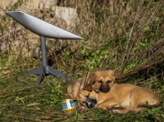 Ako odpojenie terminálov Starlink ovplyvňuje kroky Ruska na Ukrajine? | Správy o vojne medzi Ruskom a Ukrajinou Ako odpojenie terminálov Starlink ovplyvňuje kroky Ruska na Ukrajine? | Správy o vojne medzi Ruskom a Ukrajinou