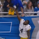 Zdá sa, že DK Metcalf sa počas zápasu 21. decembra pustil do fanúšika Lions Ryana Kennedyho.