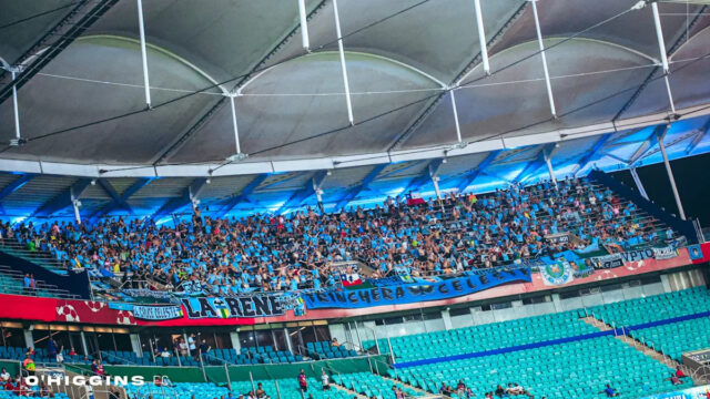 Download app from appStore