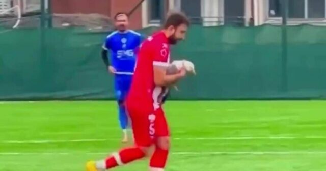 Futbalová kombinéza zrazu skončila, pretože hráč vykonáva resuscitáciu z úst do úst, aby zachránil čajku|Futbal|Športová aktivita 
