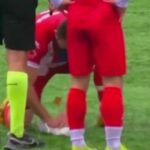 Gani Catan vykonáva KPR na čajke