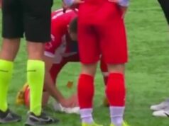 Futbalový zápas bol zastavený, pretože hráč vykonáva KPR, aby zachránil čajku zasiahnutú loptou Gani Catan vykonáva KPR na čajke