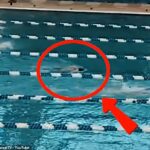 Vírusový klip na YouTube ukázal, že Addison Sauickie podľa všetkého trpí zdravotnou epizódou uprostred pretekov