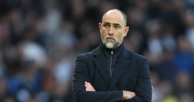 Ideálne bezplatné transfery Spurs zo 124-gólového klubu do cieľa Guy Ideálne bezplatné transfery Spurs zo 124-gólového klubu do cieľa Guy Utd|Futbal|Športová aktivita