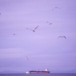 Irán investuje veľké peniaze do temných ropných „správcov“, keďže vojna s USA je na obzore | Správy o korupcii