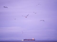 Irán investuje veľké peniaze do temných ropných „správcov“, keďže vojna s USA je na obzore | Správy o korupcii Irán investuje veľké peniaze do temných ropných „správcov“, keďže vojna s USA je na obzore | Správy o korupcii