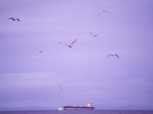 Irán investuje veľké peniaze do temných ropných „správcov“, keďže vojna Irán investuje veľké peniaze do temných ropných „správcov“, keďže vojna s USA je na obzore | Správy o korupcii