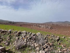 Izrael obvinený z rozprašovania chemikálií na otrávenie sýrskej poľnohospodárskej pôdy | Newsfeed Izrael obvinený z rozprašovania chemikálií na otrávenie sýrskej poľnohospodárskej pôdy | Newsfeed