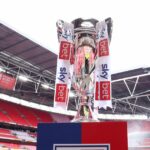 Majstrovská trofej v play-off