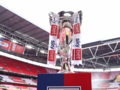 Keď šéf klubu naráža na plány, objaví sa nezhoda týkajúca sa rozšírenia play-off šampionátu Majstrovská trofej v play-off