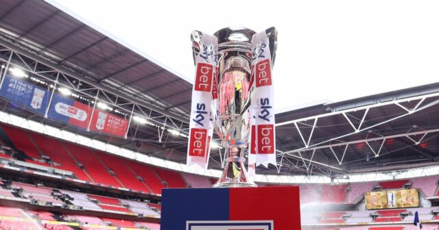 Majstrovská trofej v play-off