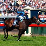 Dostihový svet smúti nad smrťou legendárnej kobyly Makybe Diva, ktorá vyhrala tri Melbourne Cupy za sebou