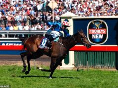 Legendárna šampiónka Melbourne Cupu Makybe Diva zomrela vo veku 26 rokov a opúšťala pretekársky svet v smútku za historickou ikonou troch rašelinísk Dostihový svet smúti nad smrťou legendárnej kobyly Makybe Diva, ktorá vyhrala tri Melbourne Cupy za sebou