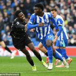 Carlos Baleba z Brightonu je vysoko na zozname cieľov United, pričom klub chce v lete získať aspoň jedného stredopoliara, ktorý by nahradil Casemira a pravdepodobne aj Manuela Ugarteho.