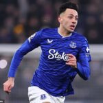 Prestup Evertonu Dwighta McNeila do Crystal Palace sa skončil po tom, čo Eagles odstúpili od zmluvy