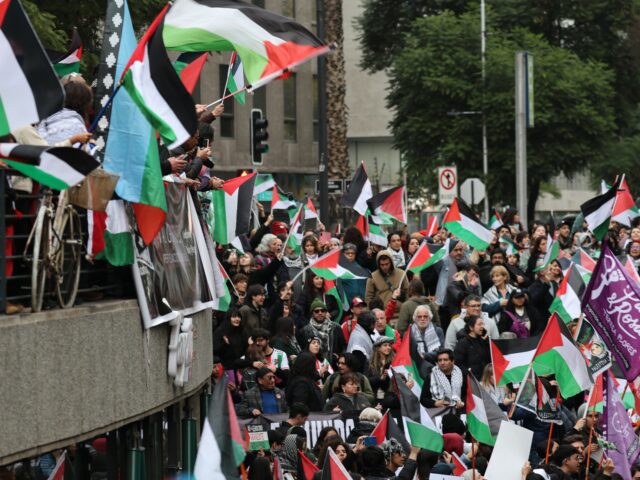 Ostreľovač izraelskej armády v Čile obvinený z vojnových zločinov v Gaze môže čeliť spravodlivosti | Správy o konflikte medzi Izraelom a Palestínou
