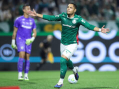 Palmeiras porazili Fluminense, odovzdali im prvú prehru v Brasileirão Download app from appStore